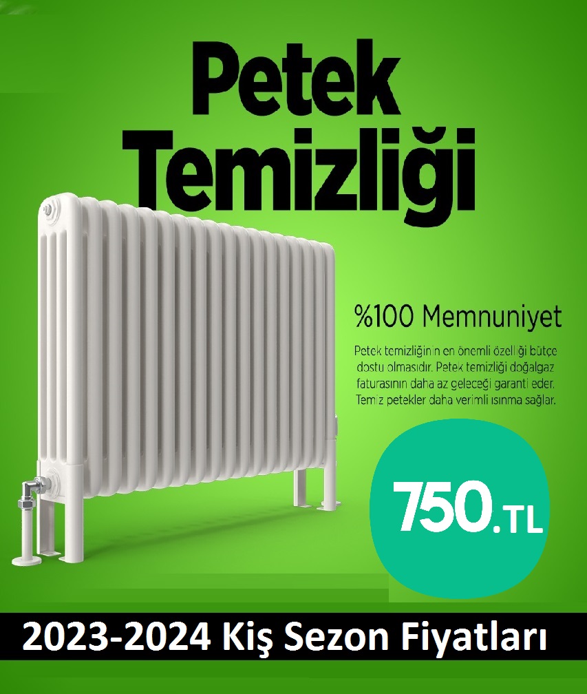 Kemerburgaz Petek Temizliği Tek Fiyat Teklifi Al
